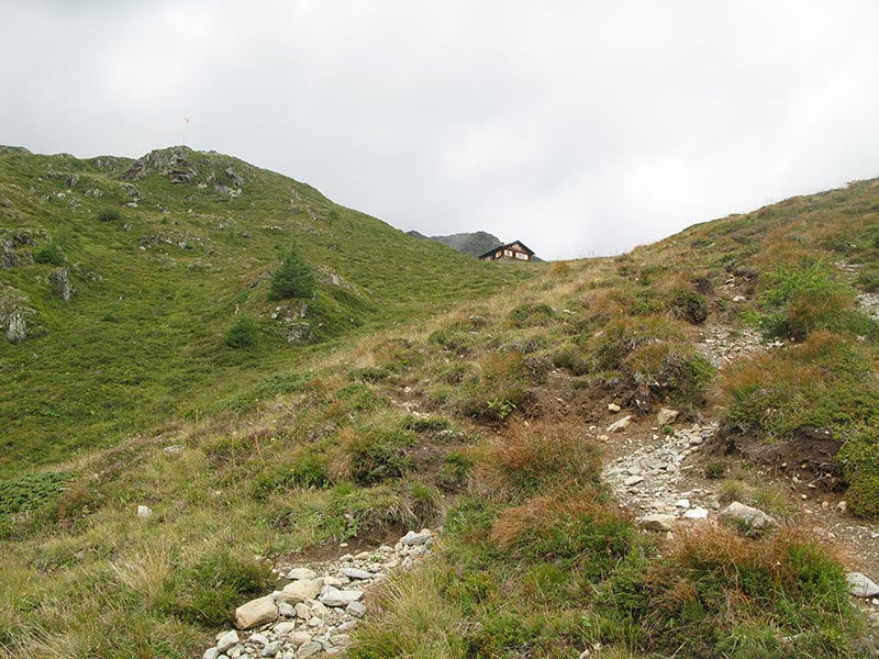 donnerstein